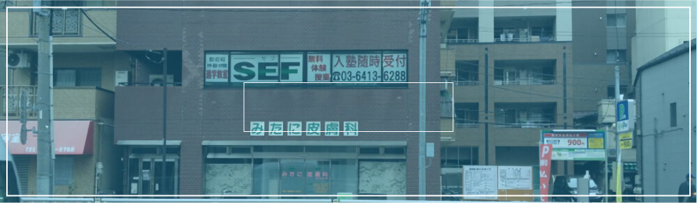 SEF 石原校